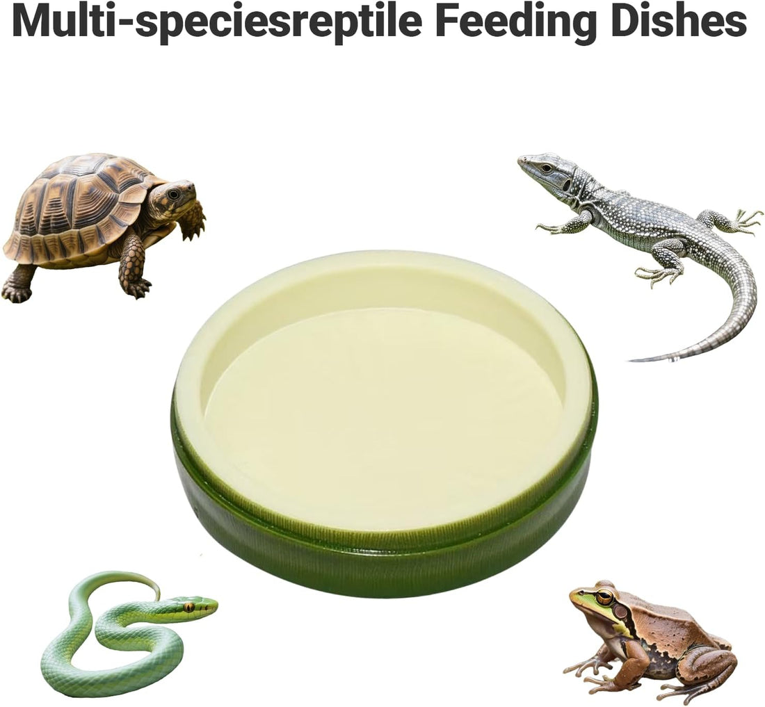 2 Pack Snail Water and Food Bowl，atural Design Food Bowl for Pet