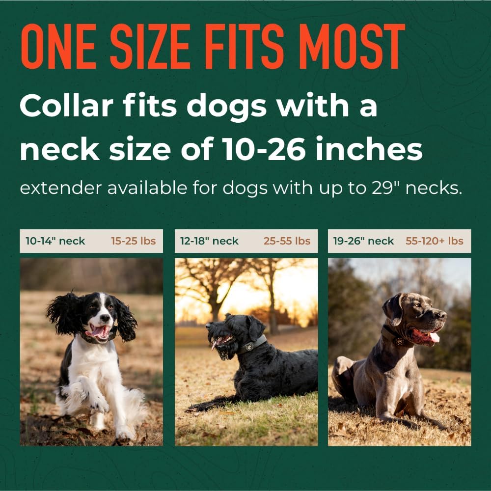 SpotOn Nova GPS Dog Fence Collar, App-Controlled Wireless Fence