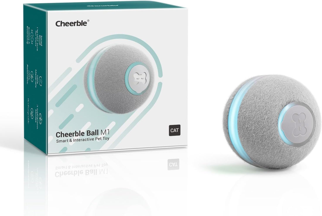 Cheerble Interactive Cat Ball Toy