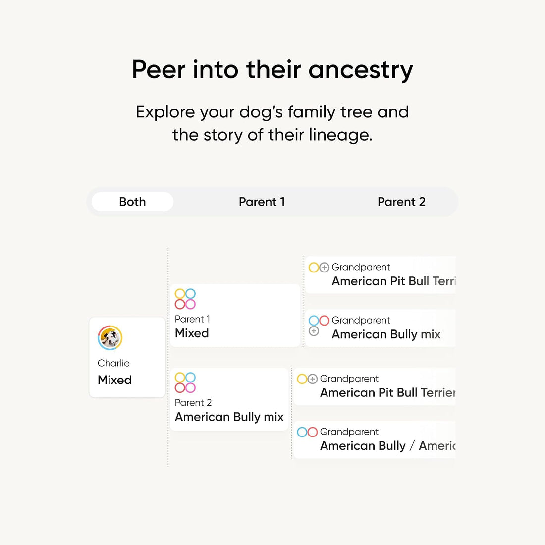 Embark Breed Identification Kit - Most Accurate Dog DNA Testing Kit