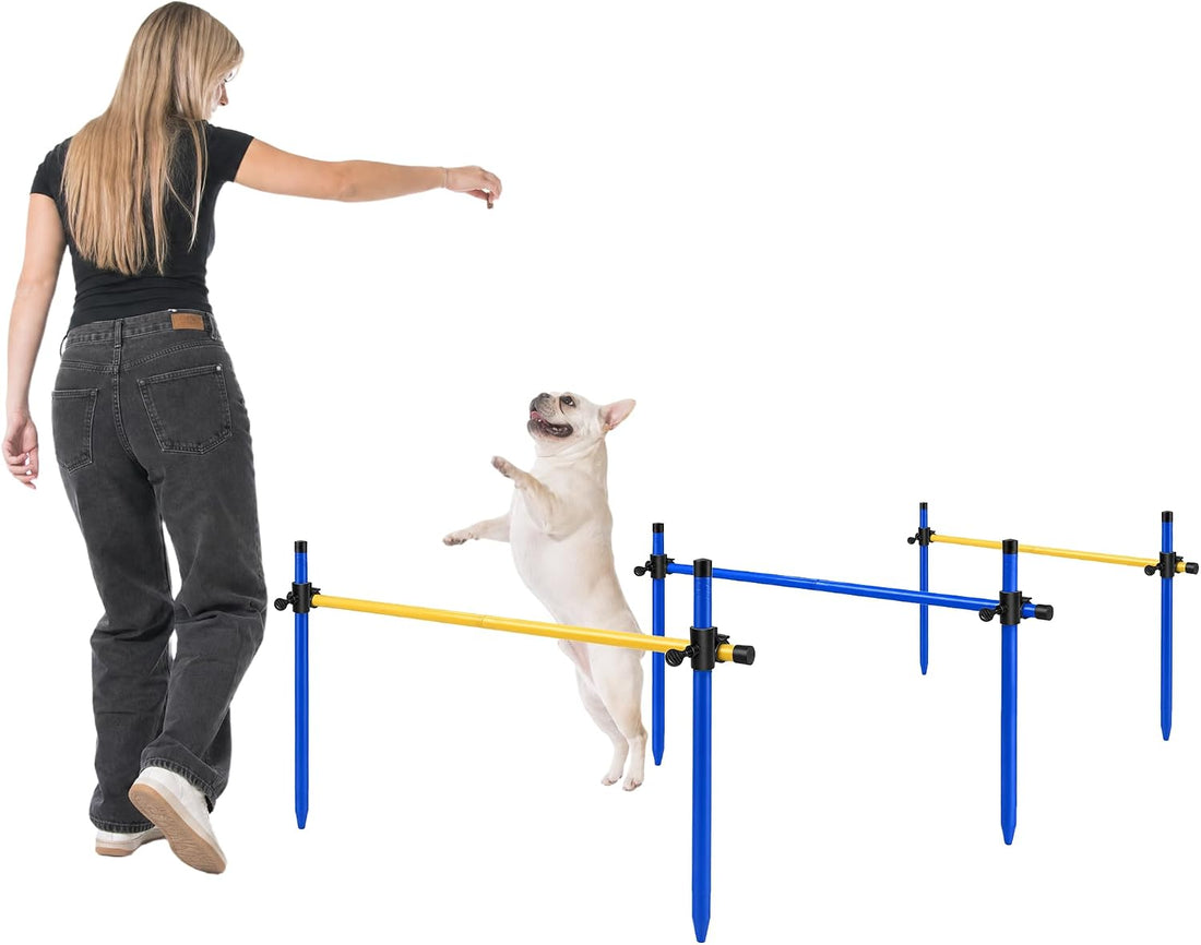 Dog Agility Equipment, Dog Agility Course Backyard Set