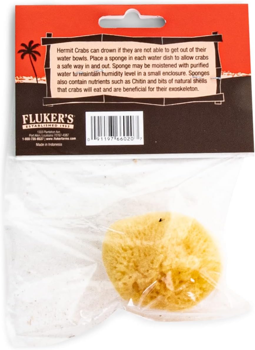 Fluker's Natural Sea Sponge for Hermit Crabs