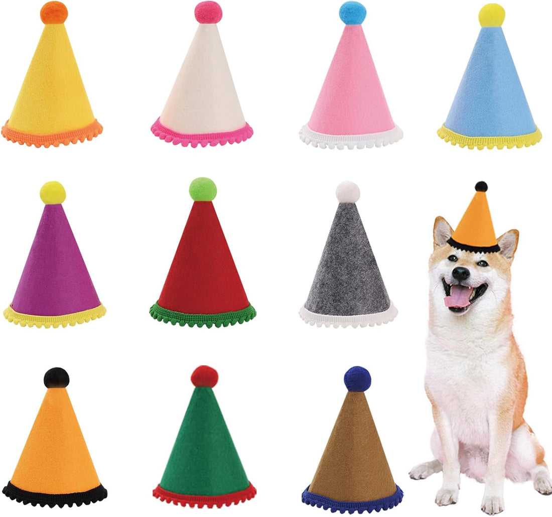 10 Pcs Dog Birthday Hat Set for Small Medium Dogs Cat Puppies