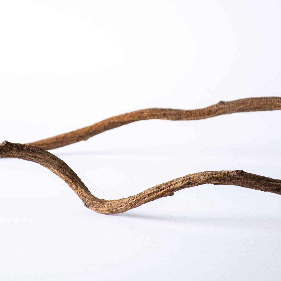 Galapagos (05310) Jungle Wood, Natural Brown, 2 Ft.