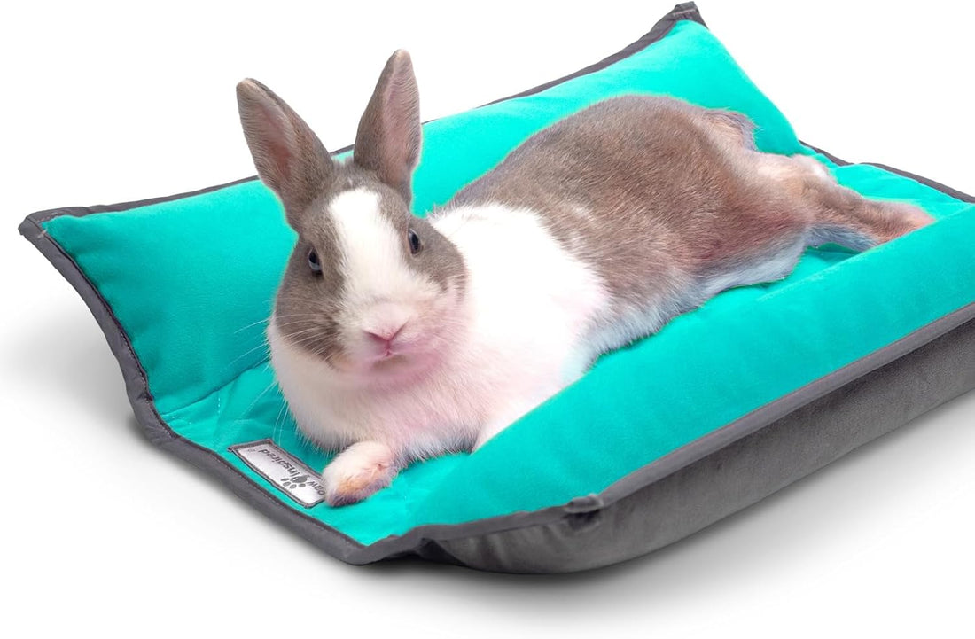 Paw Inspired Snuggle Bunny Bolster Bed, Gray/Beige, 17x17 Inch