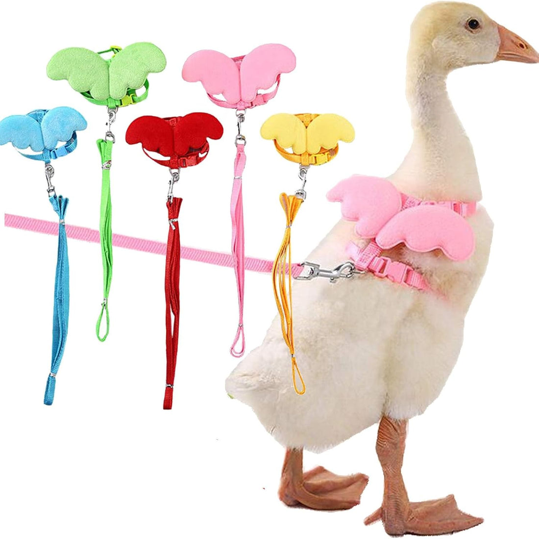 QBLEEV Pet Cole Duck Outside Walking Harness Leash with Cute Wings