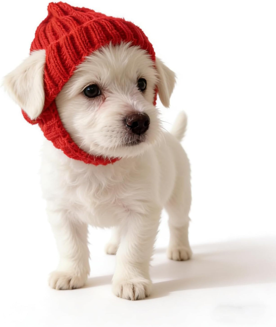 Warm Dog Knitted Hat with Ear Hole, Winter Pet Cap