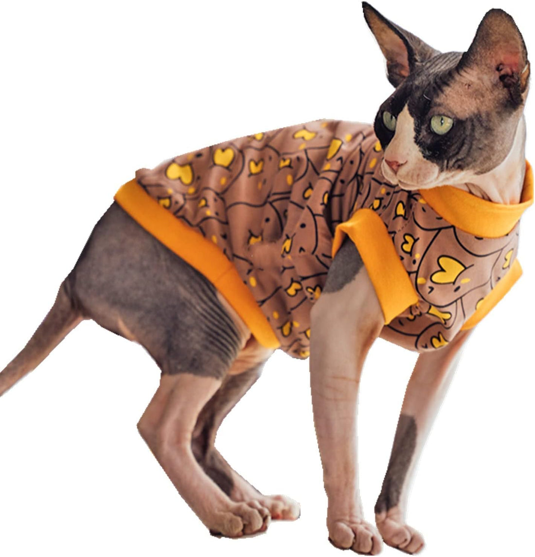 Sphynx Hairless Cat Cotton T-Shirts Cat Apparel Pet Clothes Vest
