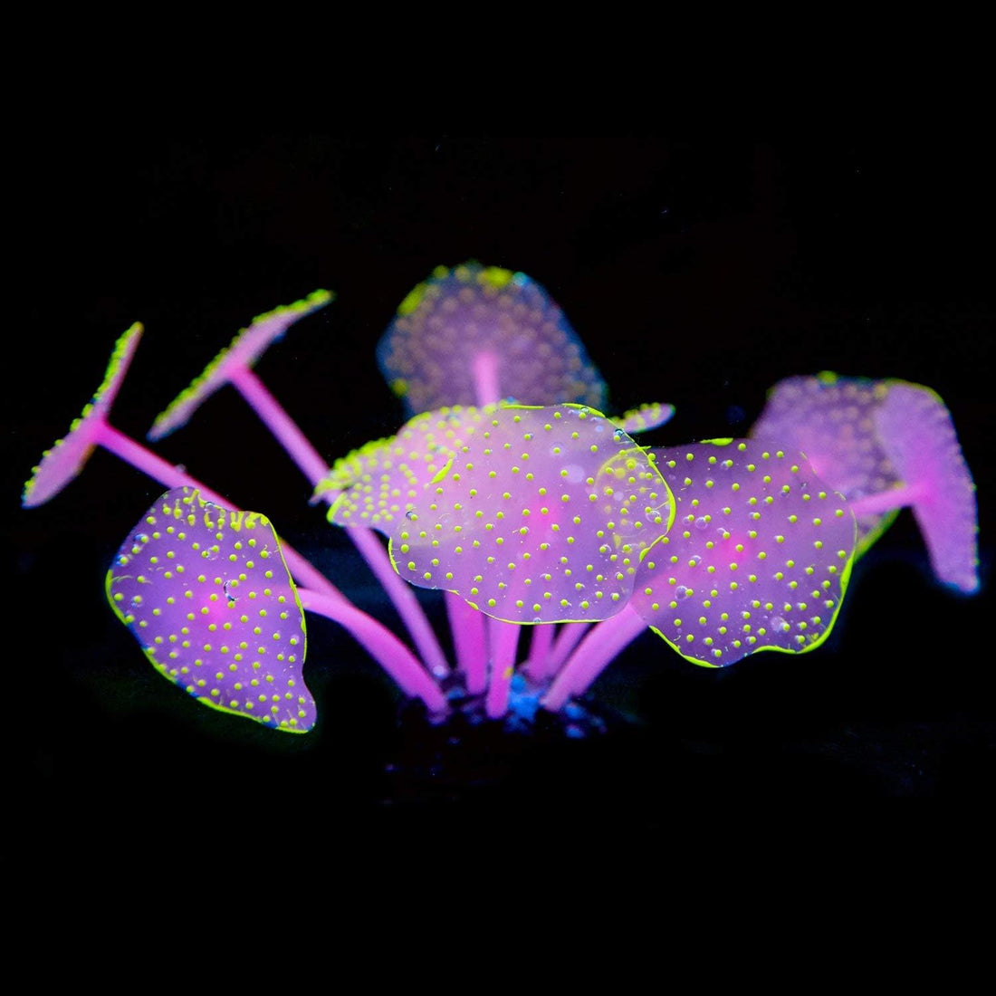 Uniclife Silicone Coral Plant Decorations Glowing Artificial Ornament
