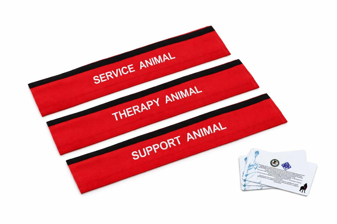 ALL ACCESS CANINE Service, Support & Therapy Animal Dog Leash Sleeve