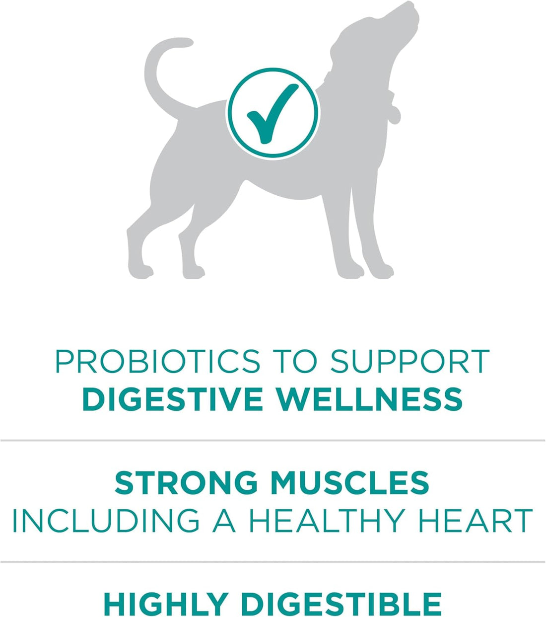 Purina ONE Plus Digestive Health Dry Dog Food, Chicken, 31.1 lb Bag
