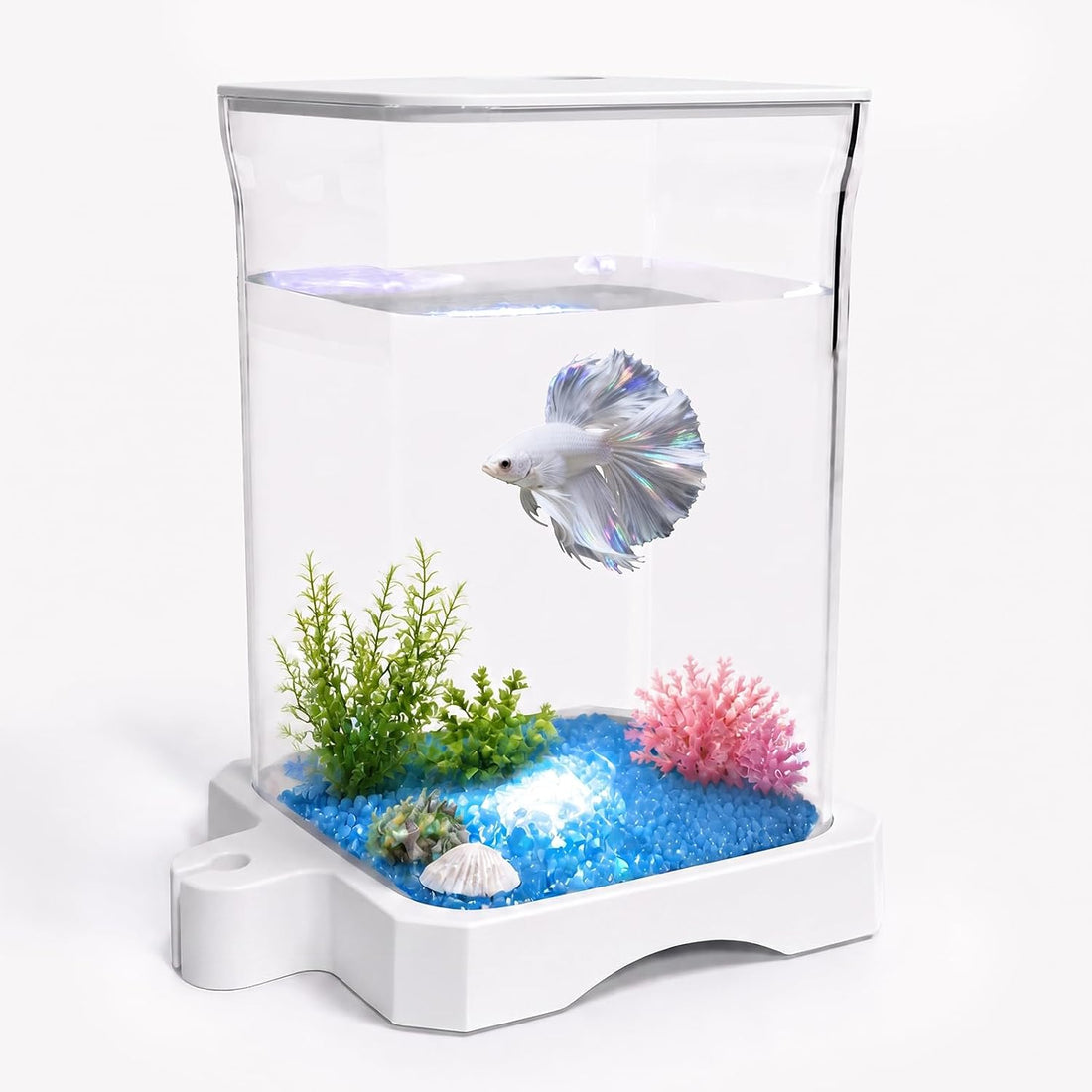 5 Gallon Fish Tank Aquarium Starter Kit with Filter and Light
