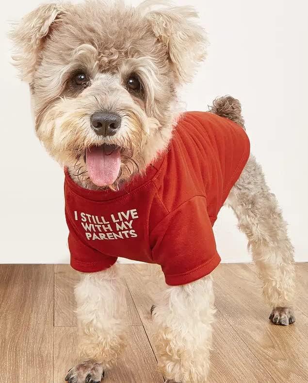 Cute Dog Clothes,Dog T Shirt for Medium and Small Girl Boy