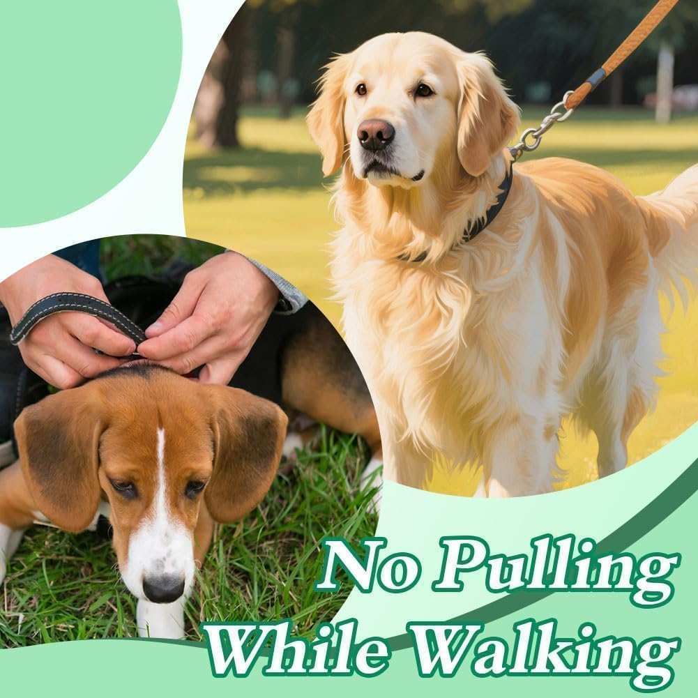 No Pull Prong Dog Collar,Adjustable Dog Pinch Training Chain Collar