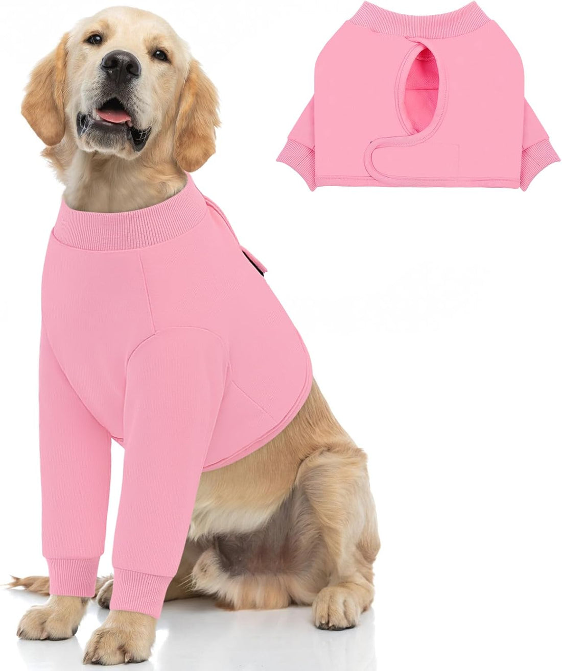 Queenmore Recovery Sleeve for Dogs Front Leg
