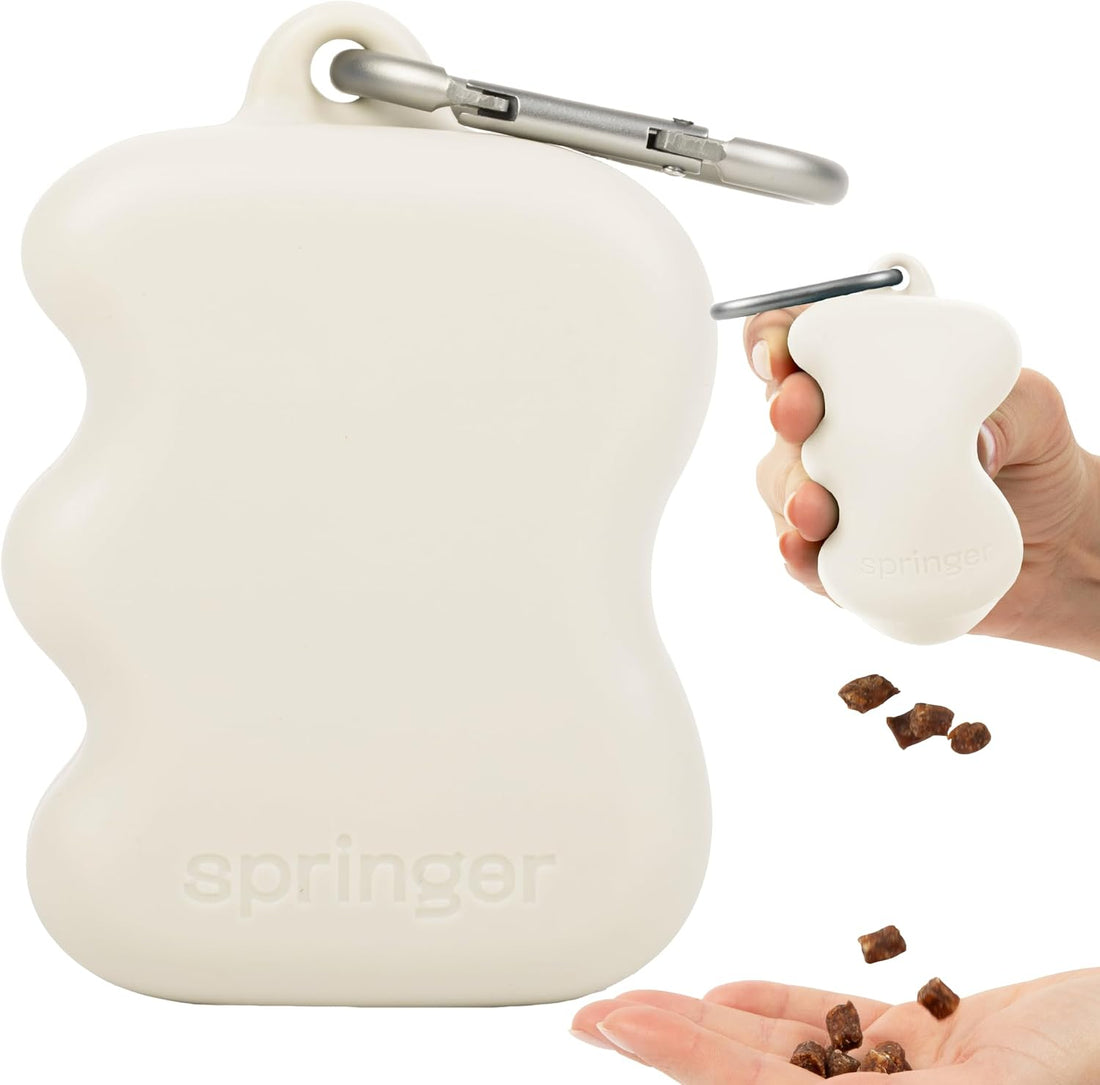 Springland Silicone Dog Training Treat Pouch for Leash