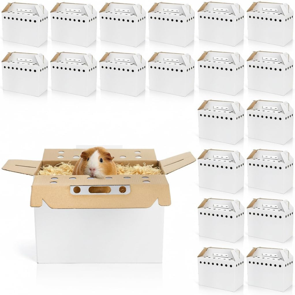 Coloch 20 Pack Cardboard Pet Carrier for Small Pets