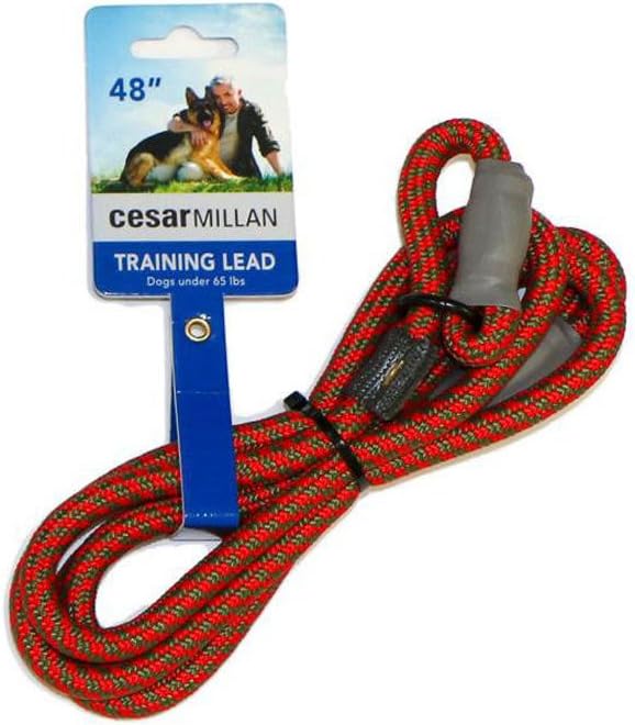 Cesar Millan Slip Lead Leash | Dog Leash | in Training Leash