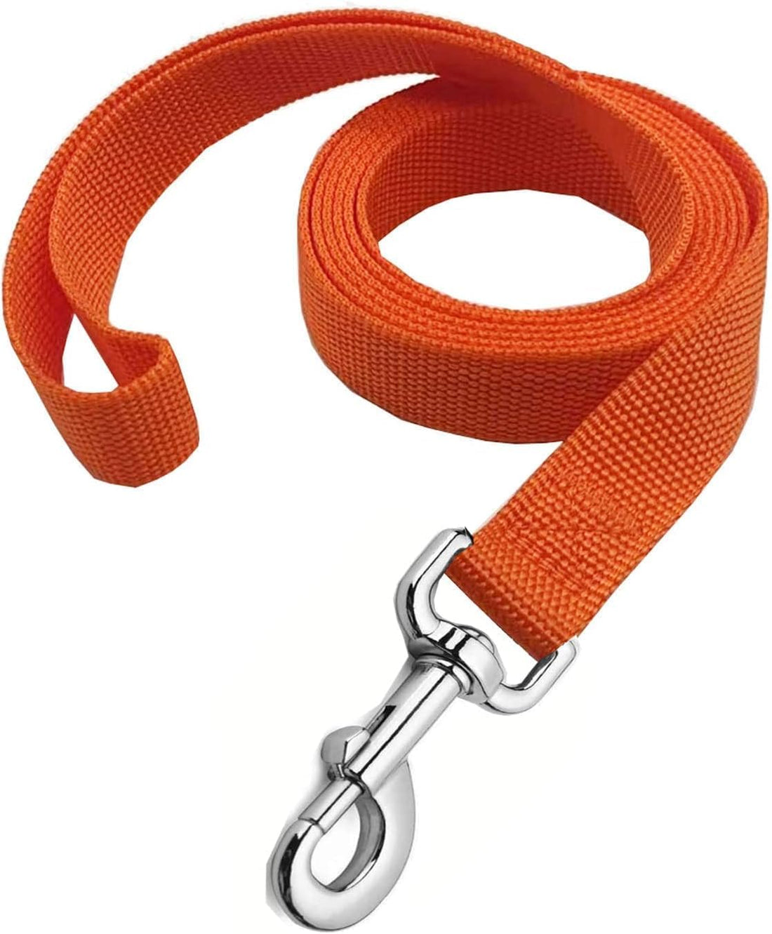 Strong Nylon Dog Leash, 5 FT Long Dog Leashes for Medium Large Dogs