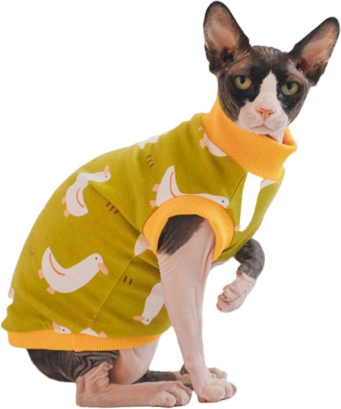 Sphynx Hairless Cat Cotton T-Shirts Cat Apparel Pet Clothes Vest