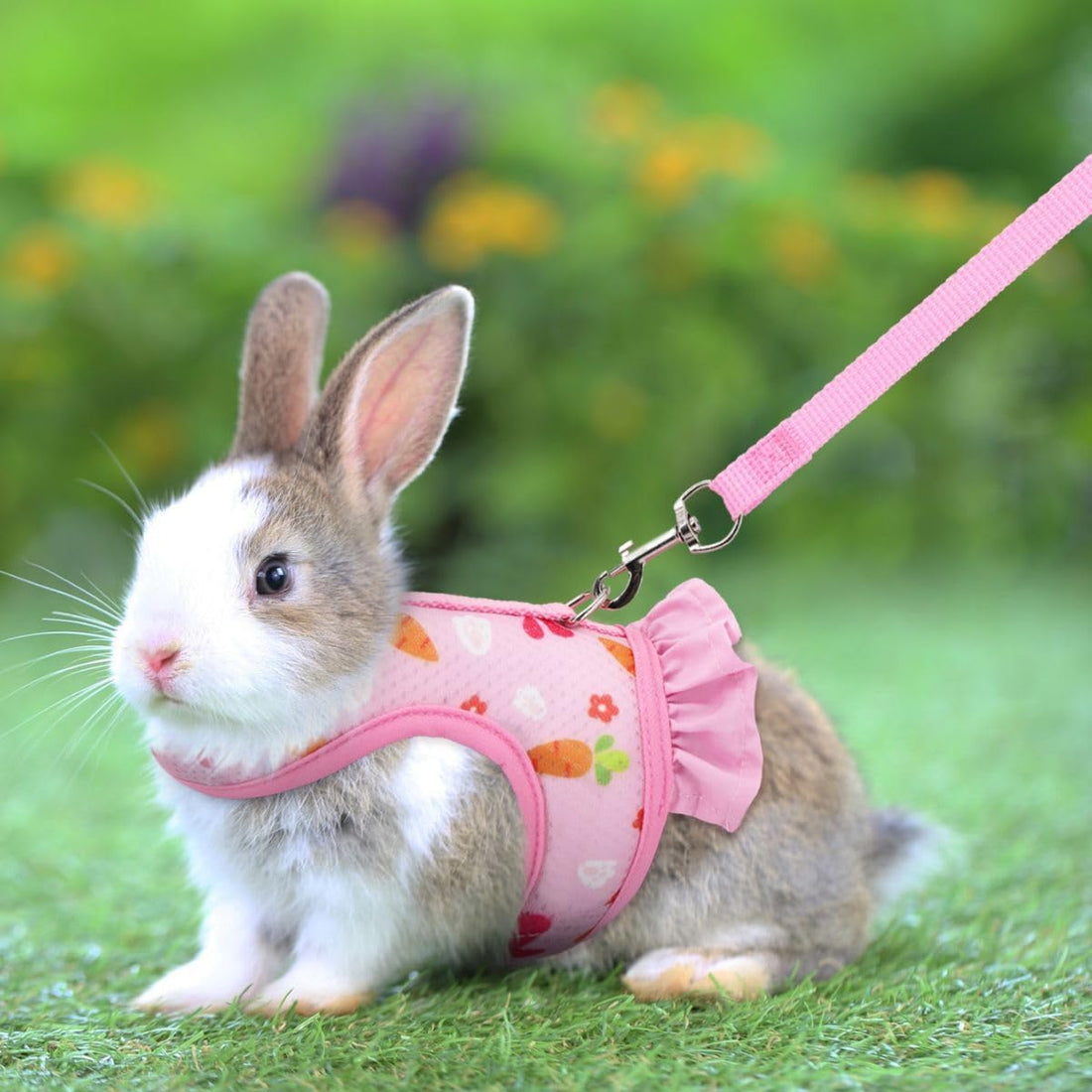 Cute Bunny Harness and Leash Set