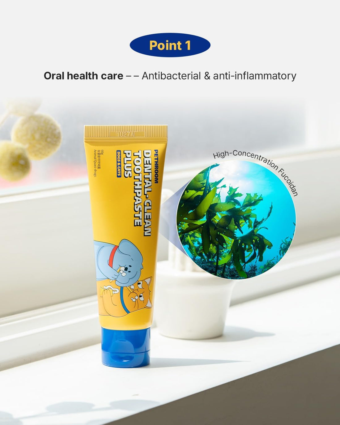PETHROOM Dental Clean Toothpaste Plus for Dogs & Cats
