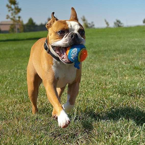 Nerf Dog Tennis Ball Blaster Dog Toy Gift Set