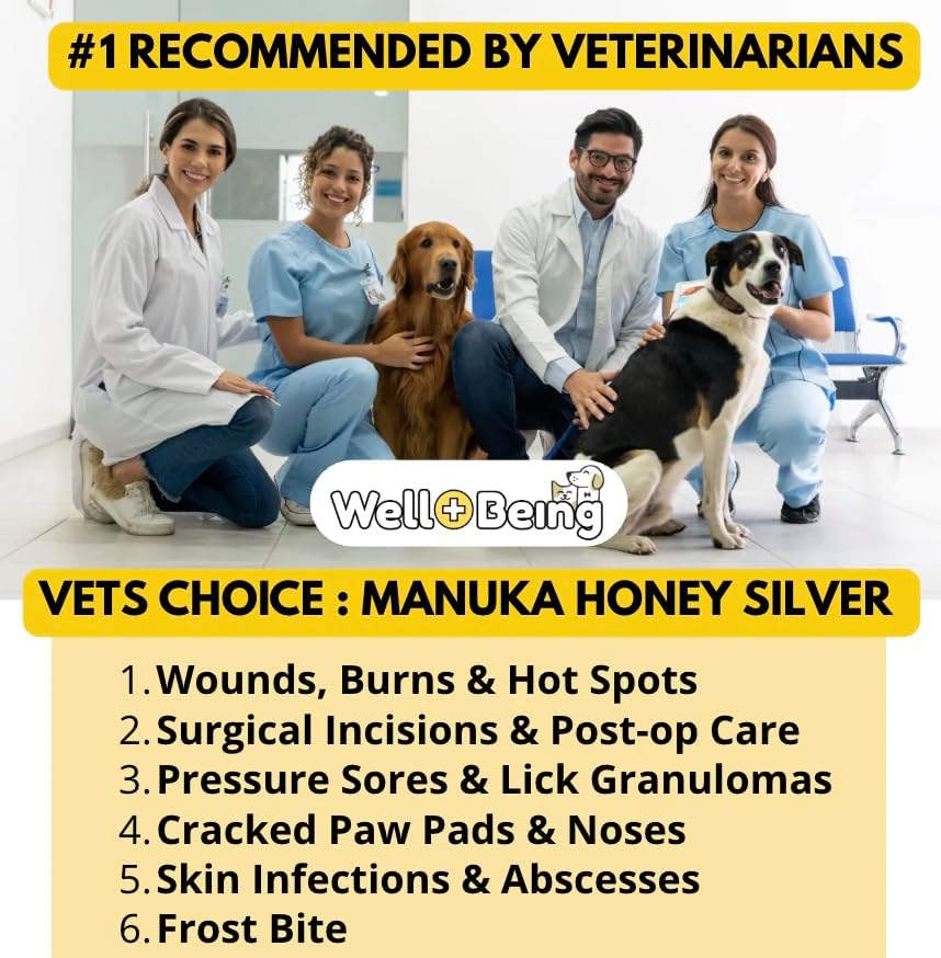 Well-Being Manuka Honey Silver Rapid Wound Repair Ointment For Dogs