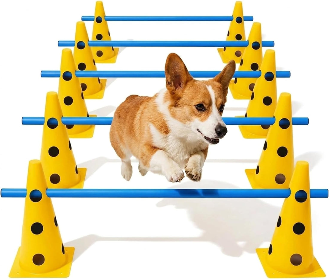 Dog Agility Equipment Set, 6 Adjustable Hurdles with 12 Cones