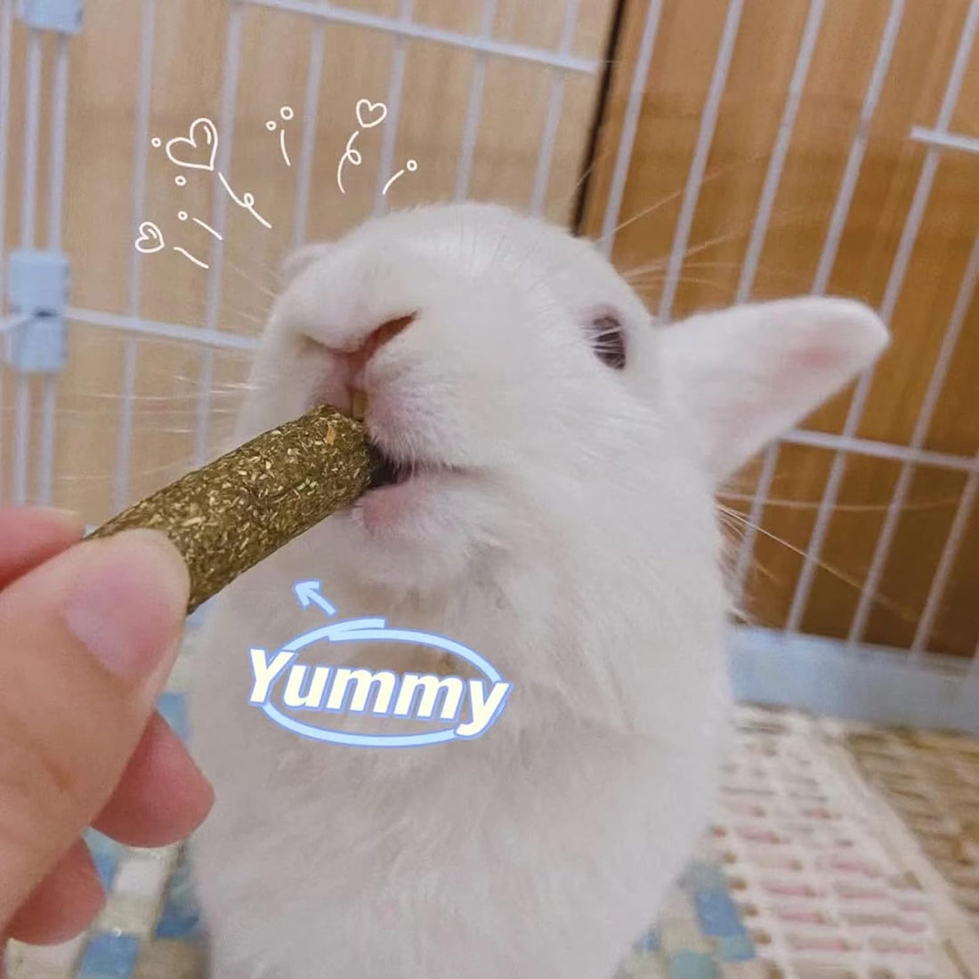Grddaef 20 PCS Bunny Chew Toys for Teeth