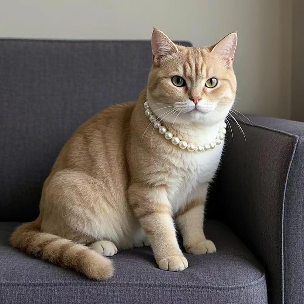 Cat Pearl Necklace, Small Dog Teddy Necklace Jewelry Chihuahua York
