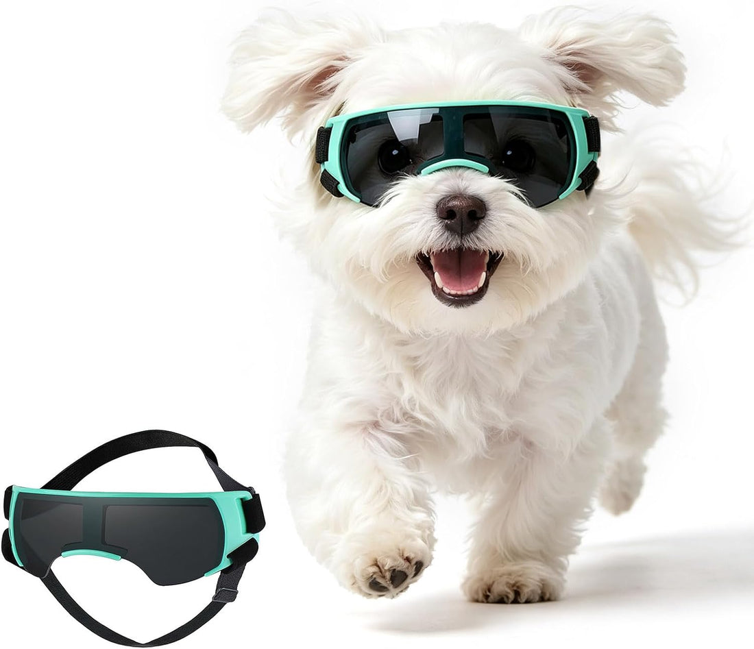 Dog Goggles for Small Breed Pet Sunglasses Eye Protection Anti-UV