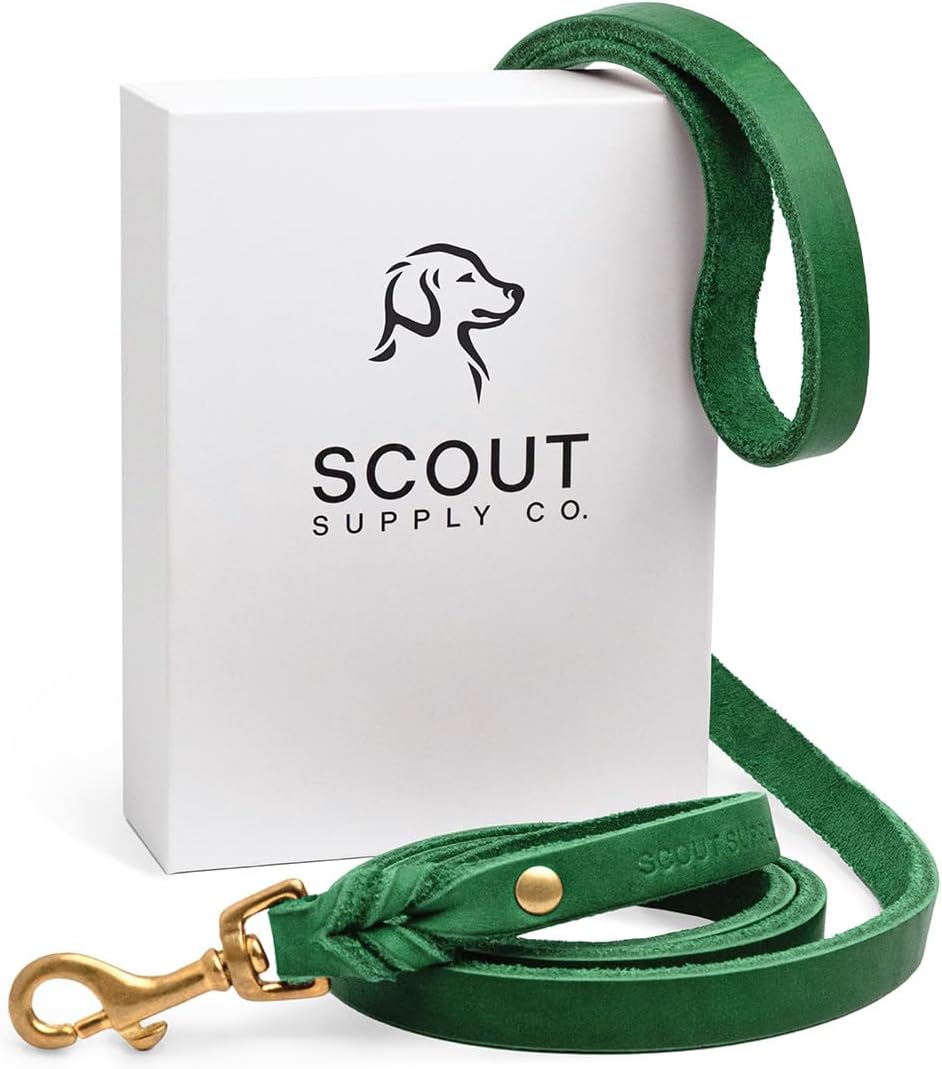 Scout Supply Classic Leather Dog Leash