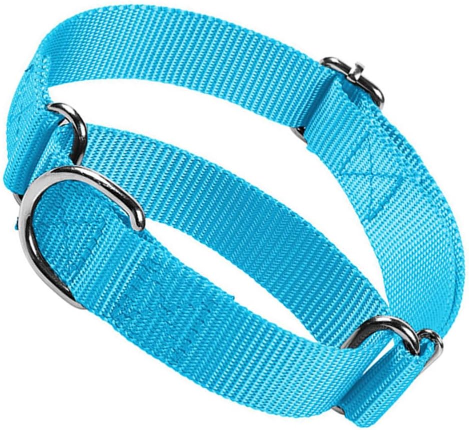 Martingale Collar for Dogs Choke Dog Choker Collars, Purple M