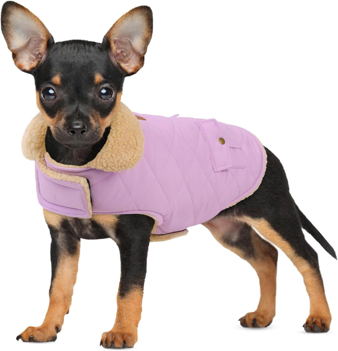 Extra-Small Dog Winter Coat, Puppy Plaid Warm Puffer Jacket