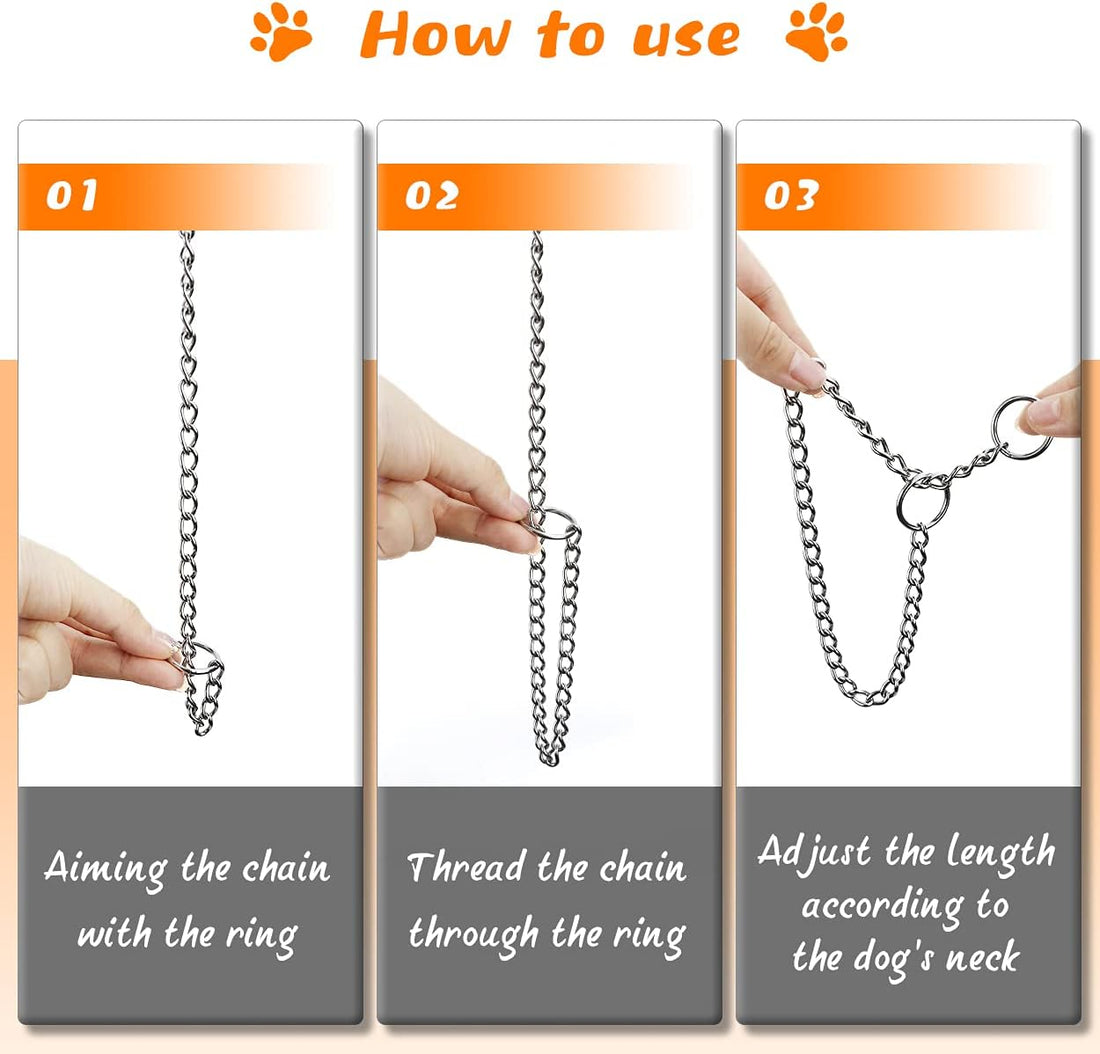 TagME Chain Choke Collar for Dogs