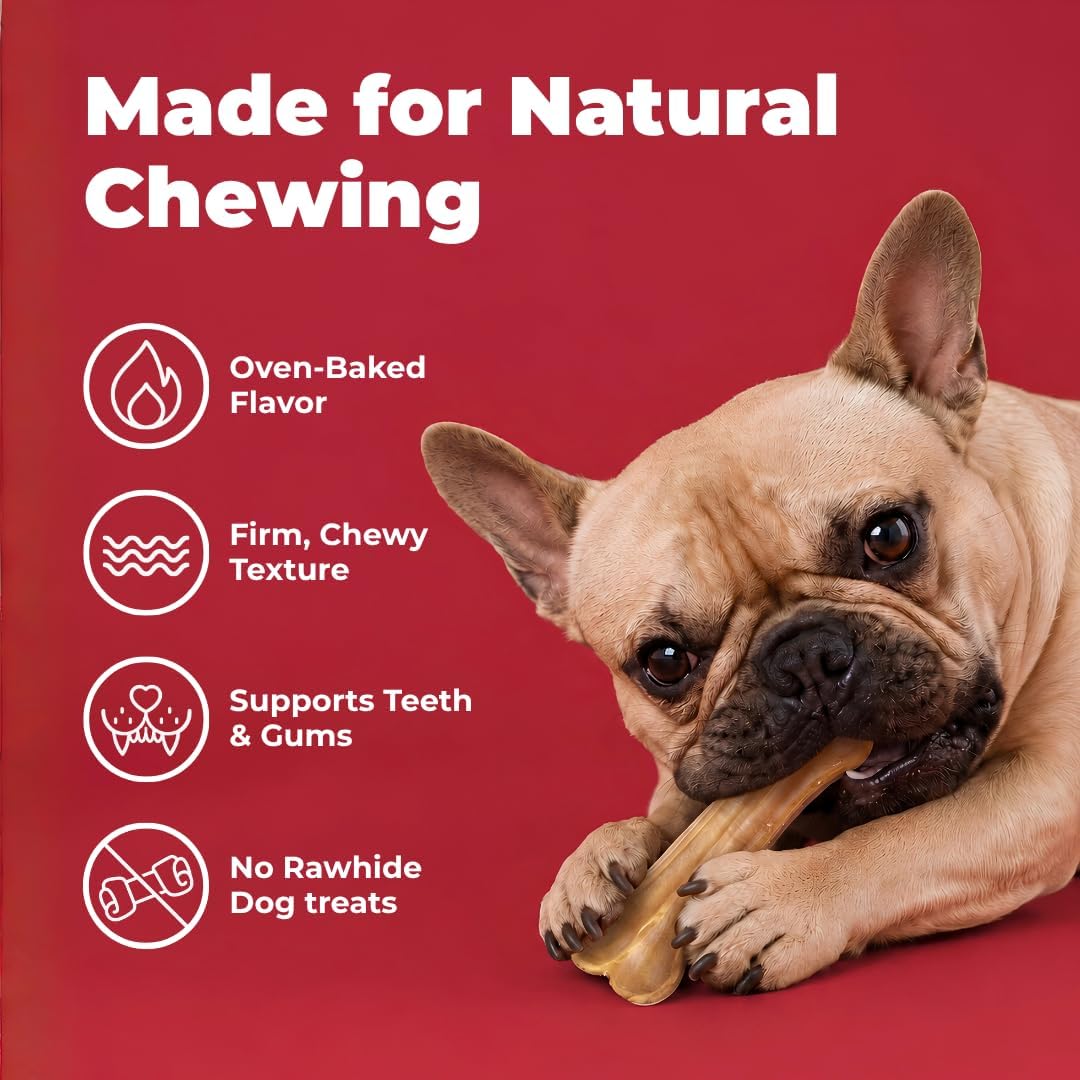 Best Pet Supplies GigaBite Pork Skin Dog Chews - 6" Bone Shape