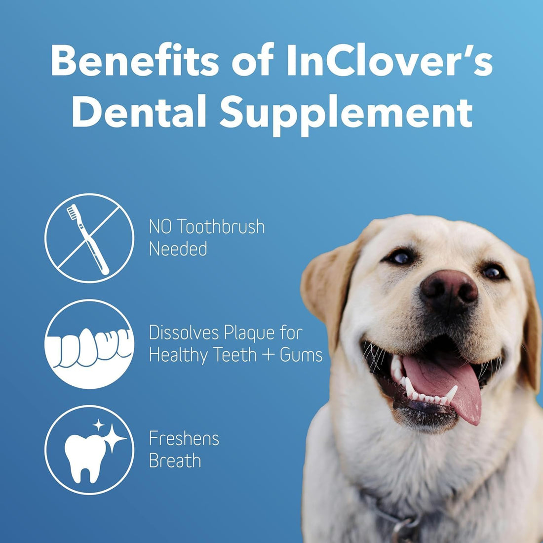 InClover Dog and Cat Dental Powder for Teeth Cleaning and Enamel