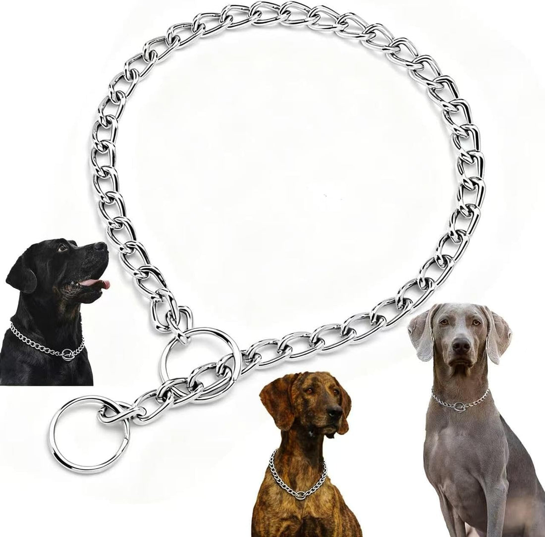 Martingale Dog Collar for Small Dogs
