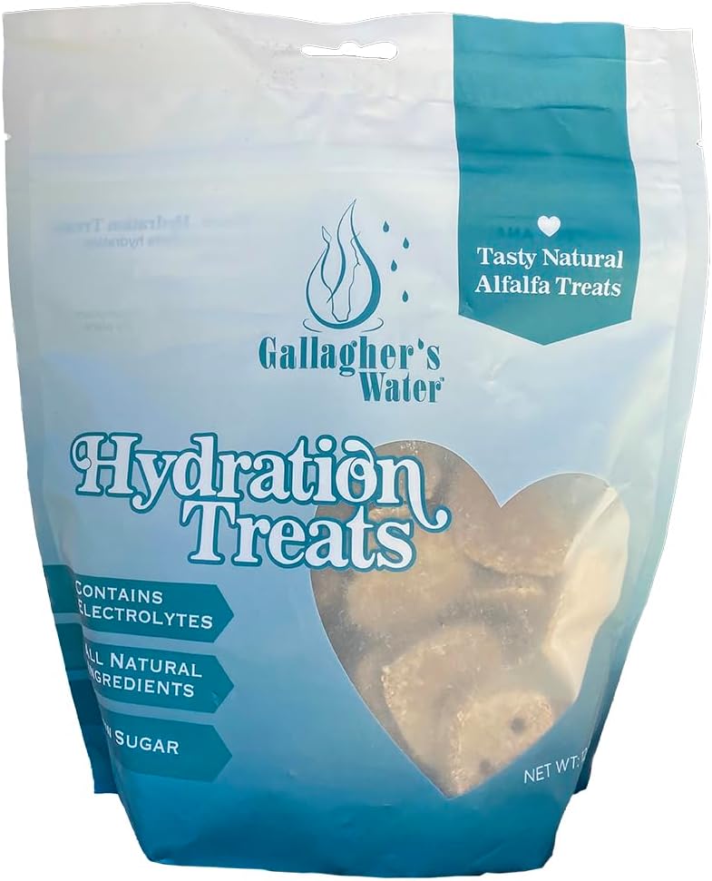 GALLAGHER'S WATER Hydration Treats for Horses. Crunchy Tasty Treats