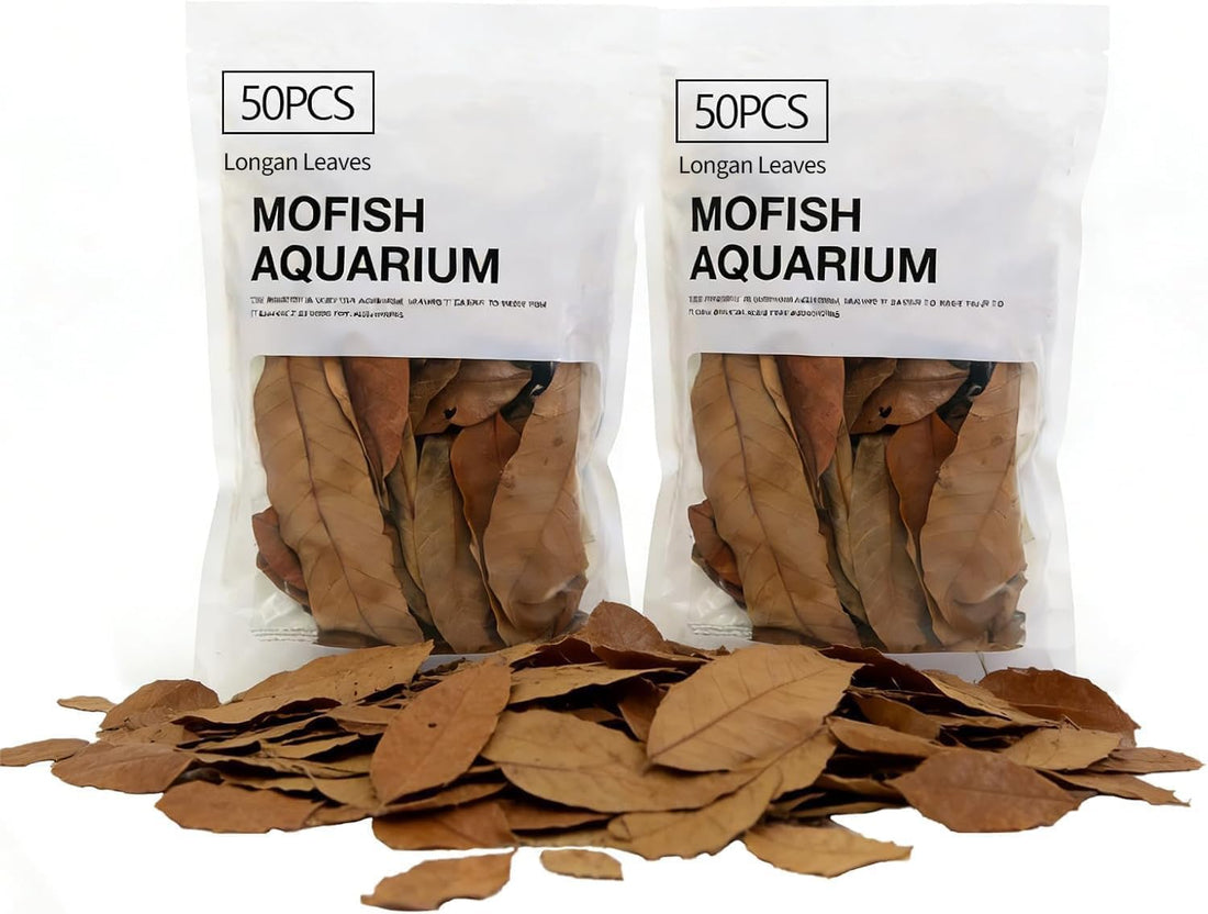100Pcs Indian Almond Leaves Longan Leaves Aquarium Decor Water