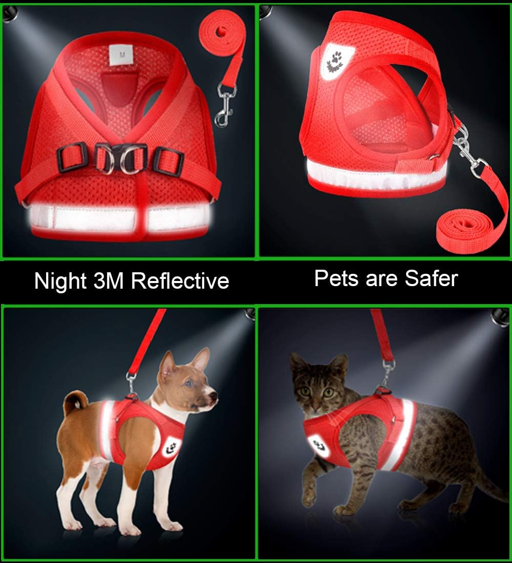 Cat Harnesses and Puppy Harness with Leashes Set