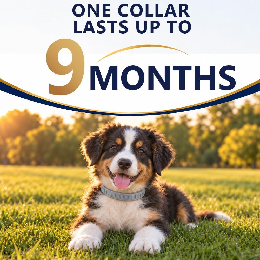 Flea Collar for Dogs, Flea and Tick Collar for Small Dogs, 2 Pcs