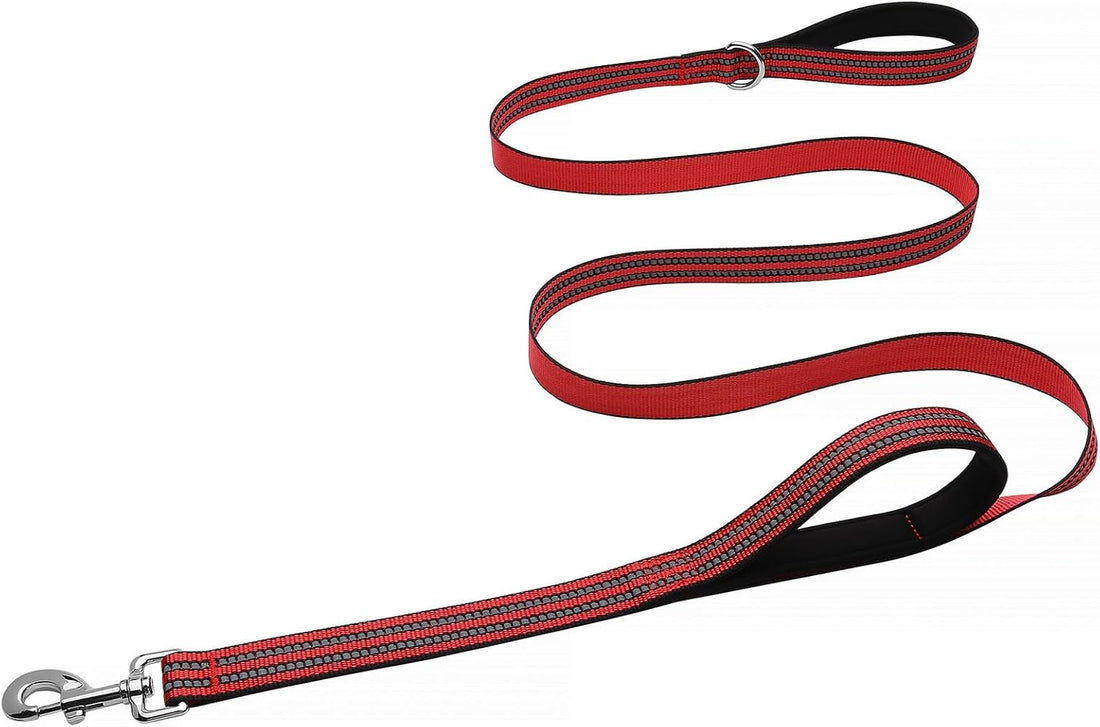 Hikiko 6FT Dog Leash with 2 Padded Handles Reflective