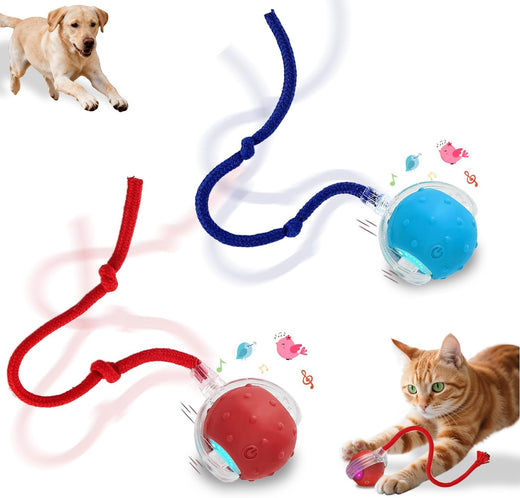 Interactive Cat Toys Smart Ball for Cats & Dogs! Now with 2 Rapid