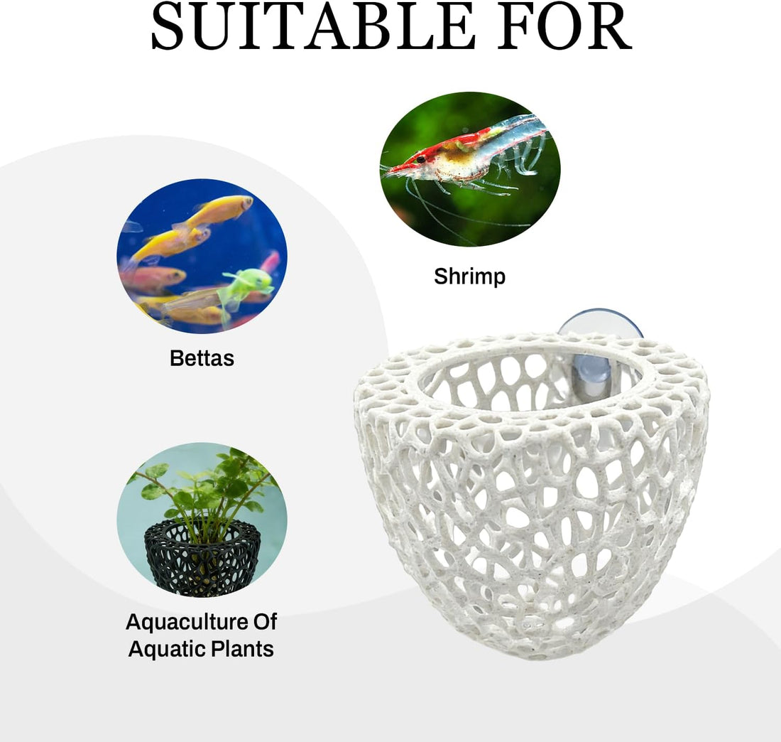 Shrimp Cave with Suction Cup