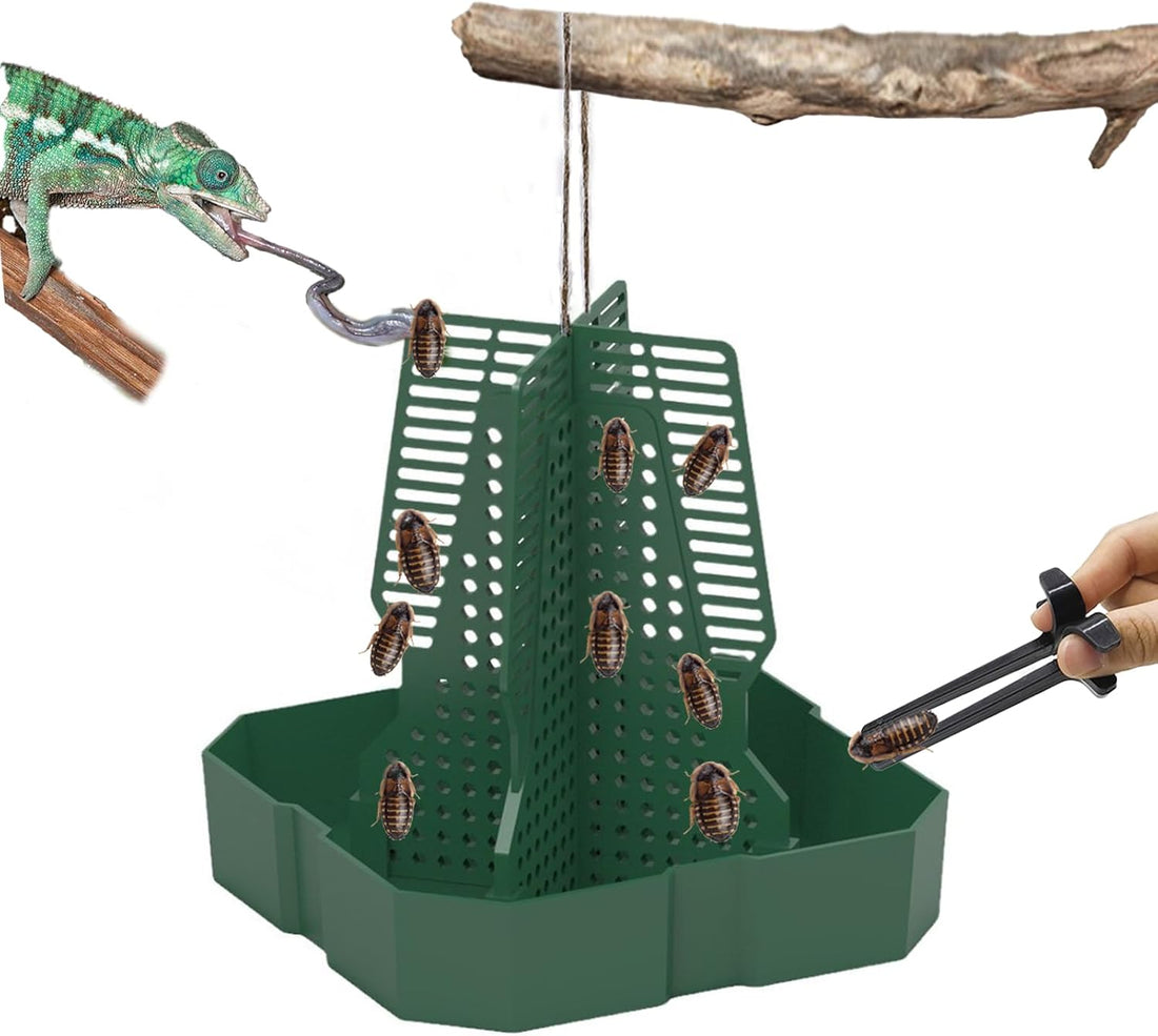 Chameleon Feeder Bearded Dragon Feeder for Mounted Insect（Medium）