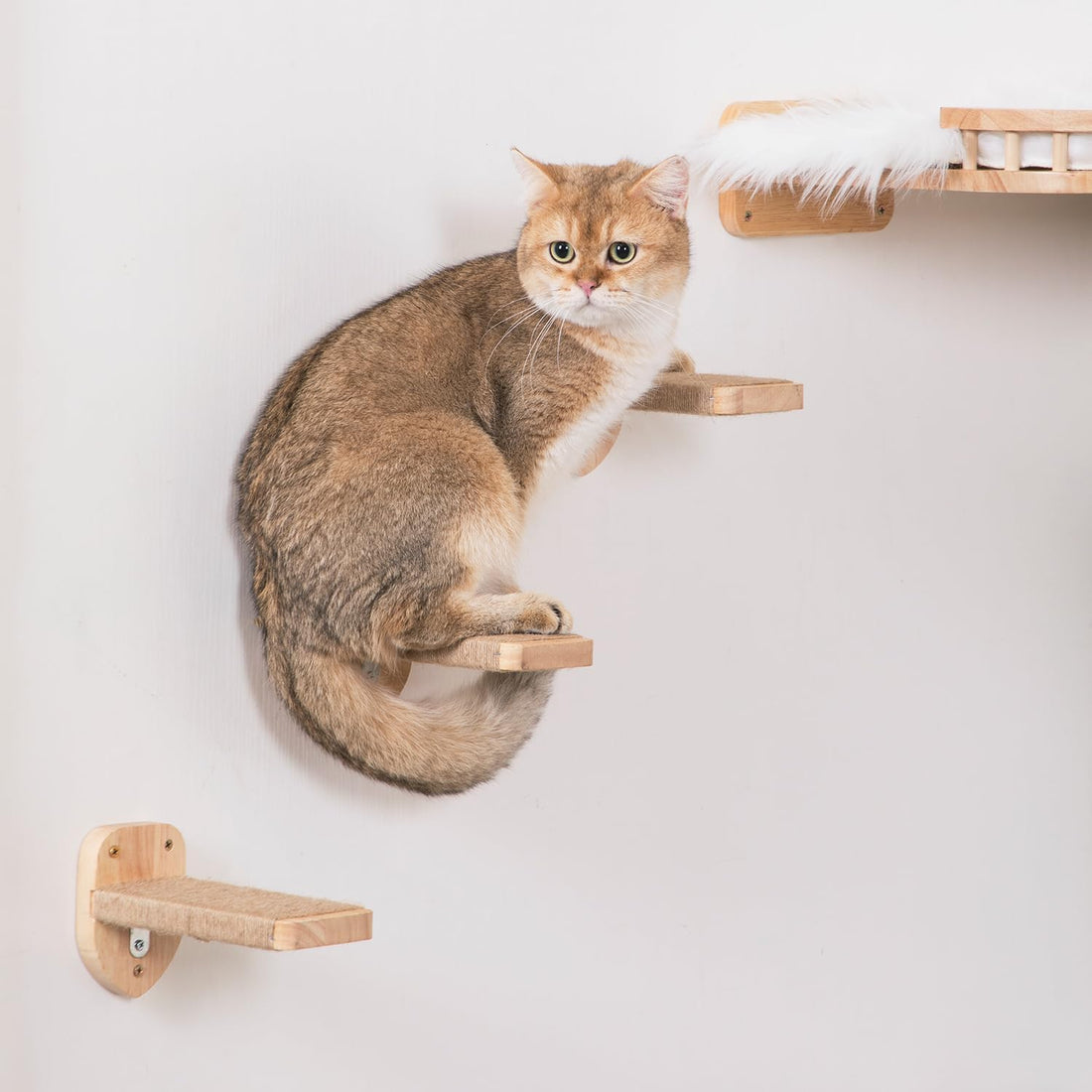 3pcs Cat Wall Steps, Climbing Mounted Furniture