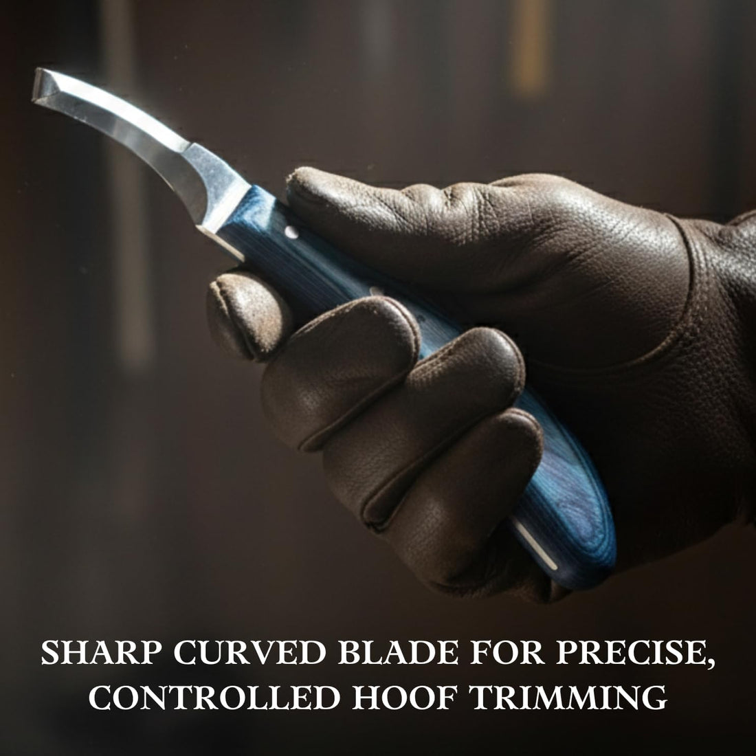 Right-Handed Hoof Knife – Curved Stainless Steel Blade