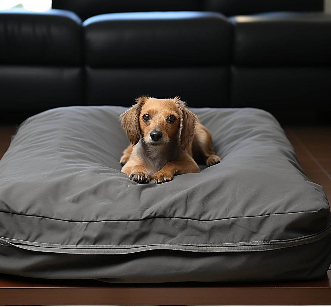 Dog Bed Covers 36L × 27W × 3H Inch Washable Grey Thickened Waterproof